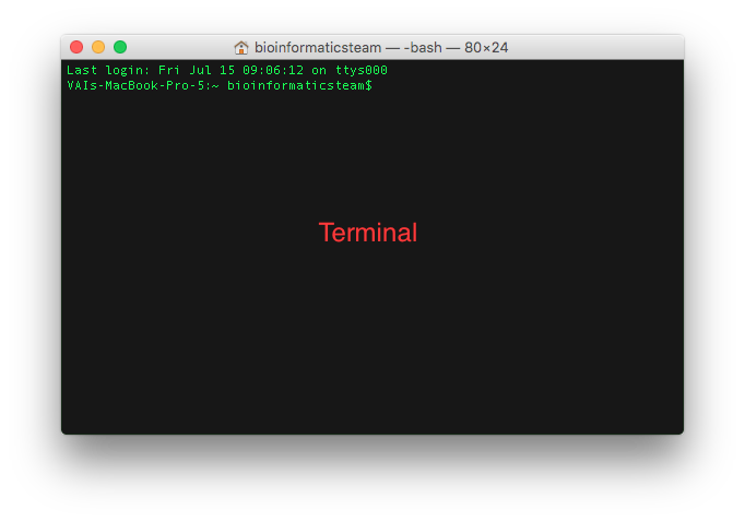 Terminal visual